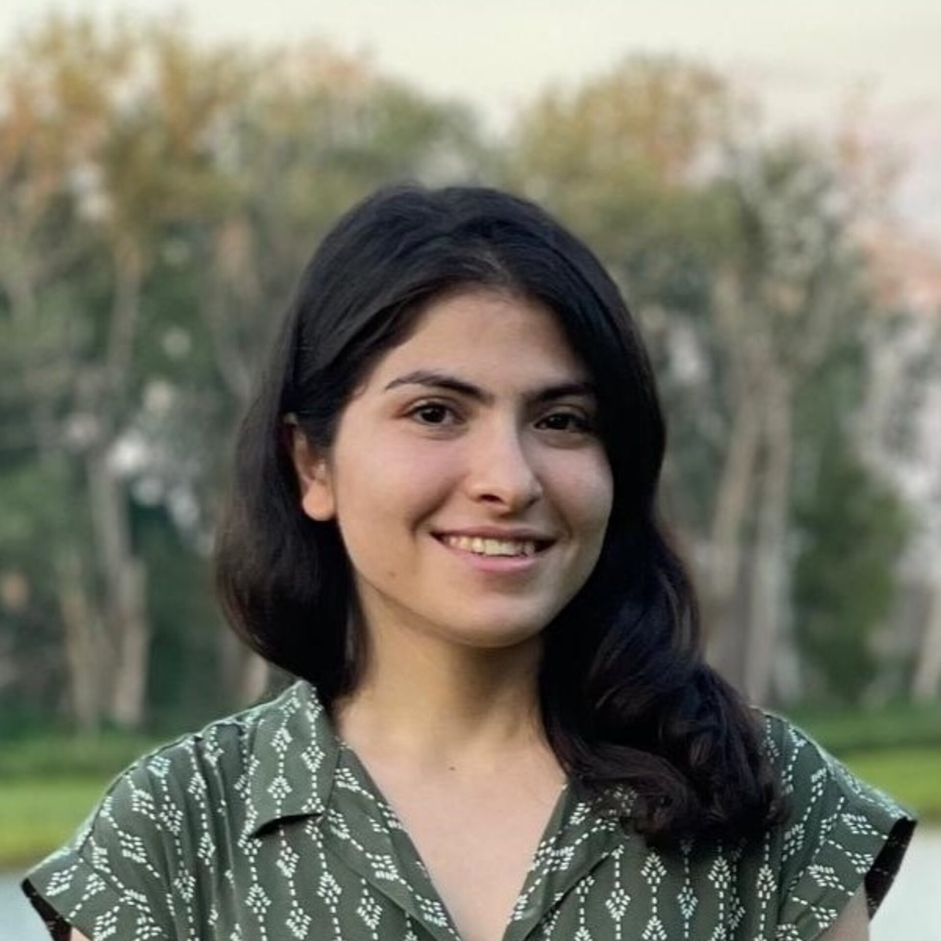 Mitra Hosseinzadeh Nasimi Civil Environmental Engineering College mitra-hosseinzadeh-nasimi-civil-environmental-engineering-college